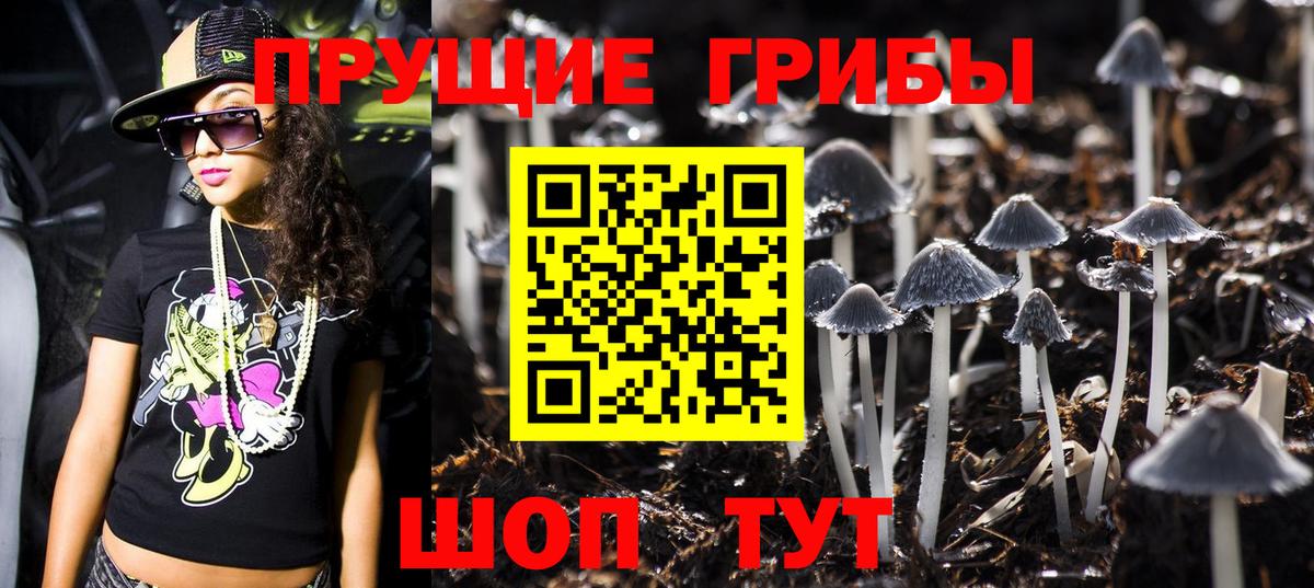 Галлюциногенные грибы Psilocybe Ишимбай